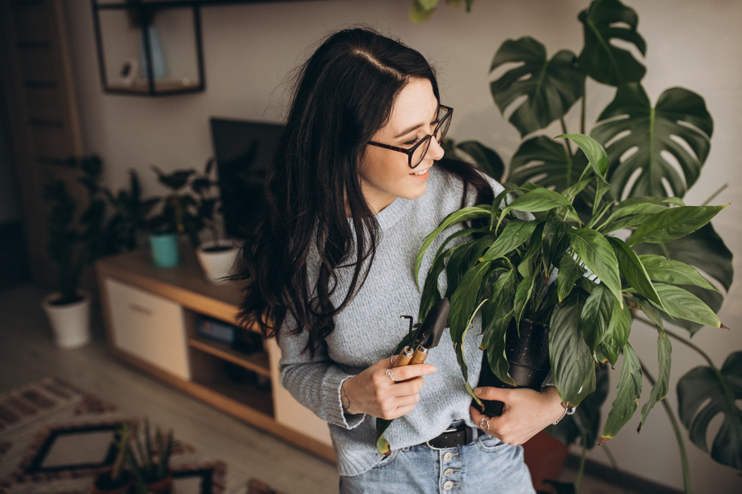 Criar um Oásis Verde em Casa - Plantas de Interior