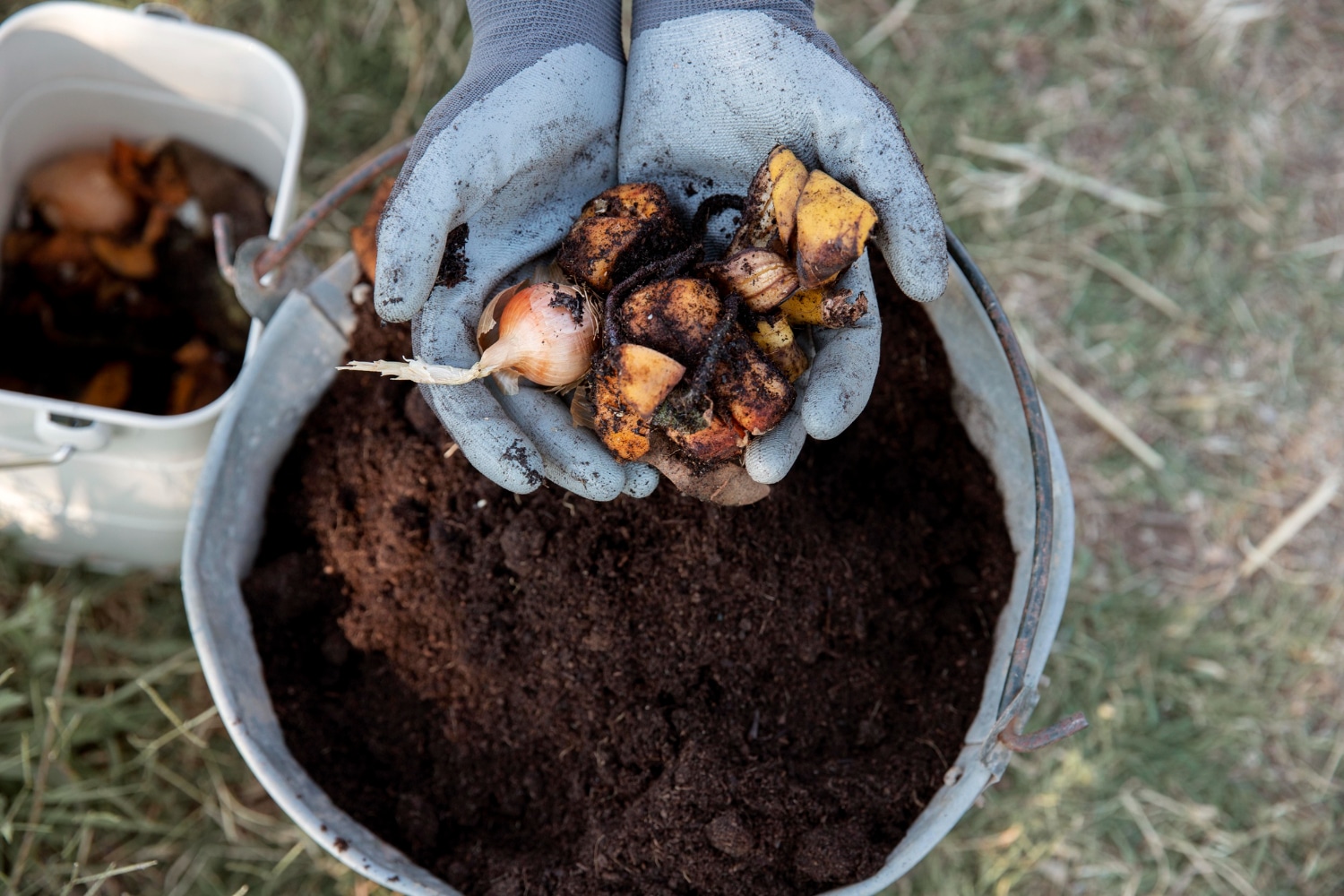 Adubo Caseiro: Reaproveitando Alimentos para um Jardim Fértil